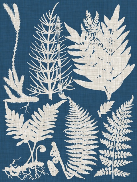 Linen and Blue Ferns II