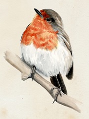 Little Bird on Branch IV