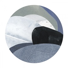 Littoral Composite IV