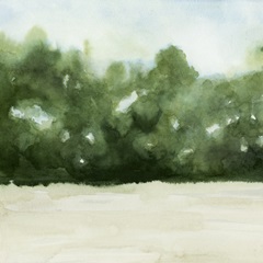 Loose Landscape I