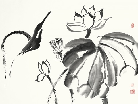 Lotus Study I