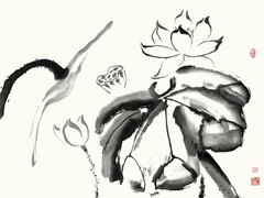 Lotus Study III