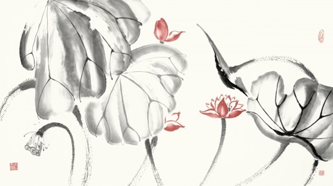 Lotus Study with Coral III