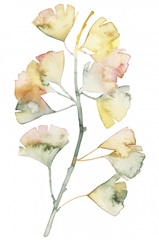 Maidenhair Branch II