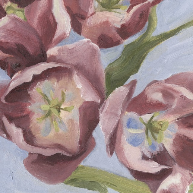 Mauve Tulips I