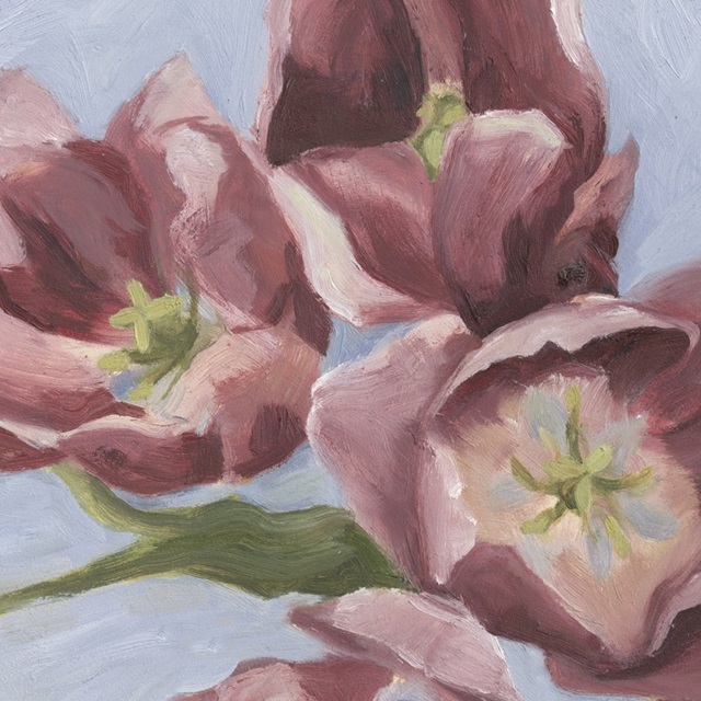 Mauve Tulips II