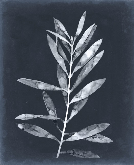 Midnight Leaves I