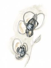 Monochrome Floral Study II