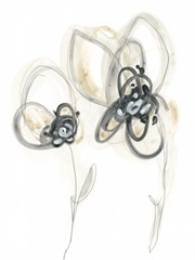 Monochrome Floral Study VI