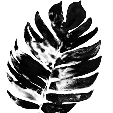 Monochrome Tropic VII