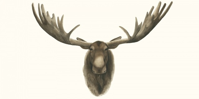 Moose Bust