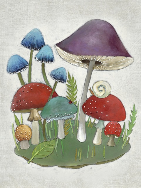 Mushroom Collection II