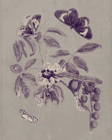 Nature Study in Plum and Taupe II