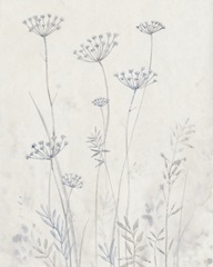 Neutral Queen Anne's Lace II