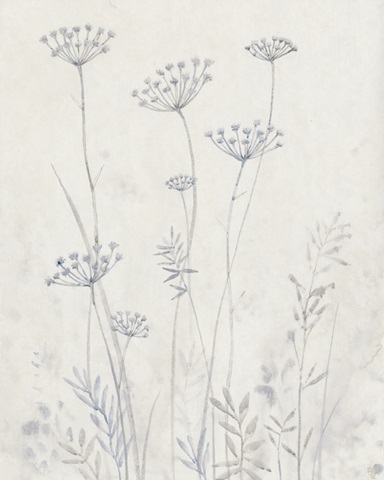 Neutral Queen Anne's Lace II