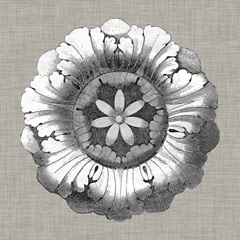 Neutral Rosette Detail II