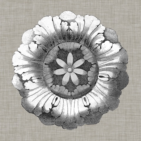 Neutral Rosette Detail II