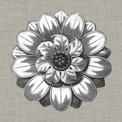 Neutral Rosette Detail IV