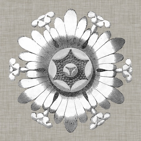 Neutral Rosette Detail V