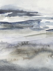 Neutral Salt Spray I