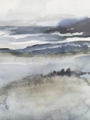 Neutral Salt Spray II