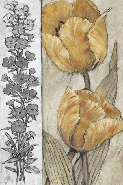 Ochre and Grey Tulips IV