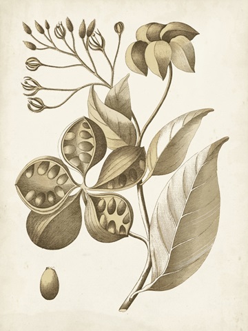 Ochre Botanical II