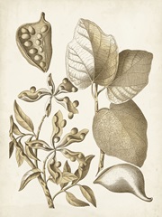 Ochre Botanical III