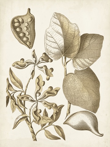 Ochre Botanical III