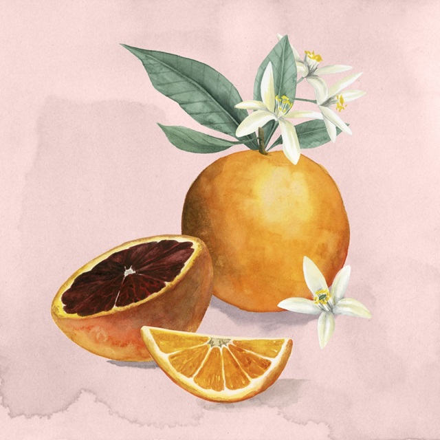 Orange Blossom I