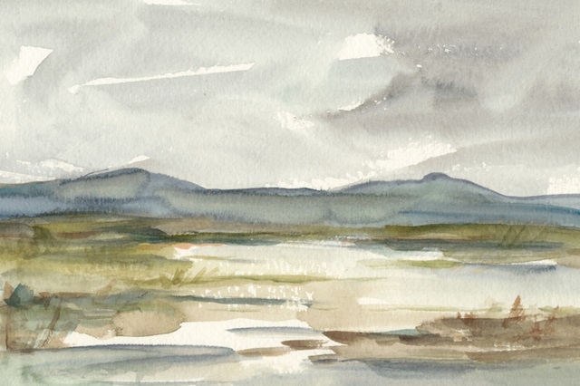 Overcast Wetland I