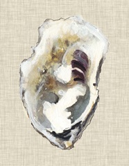 Oyster Shell Study I