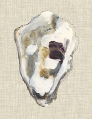 Oyster Shell Study II