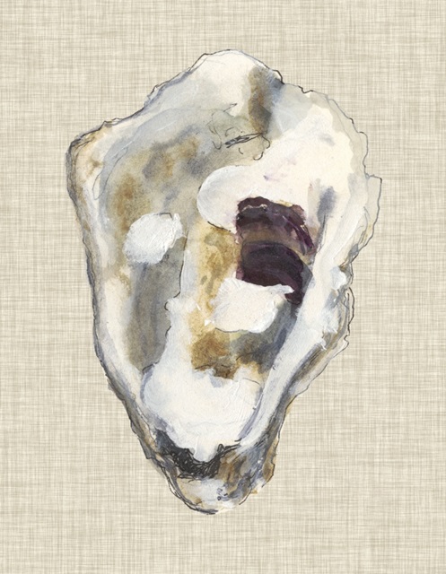 Oyster Shell Study II