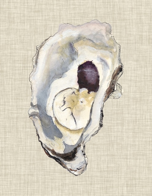 Oyster Shell Study IV
