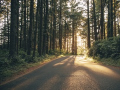 Pacific Northwest Oregon III