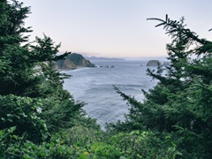 Pacific Northwest Oregon IV