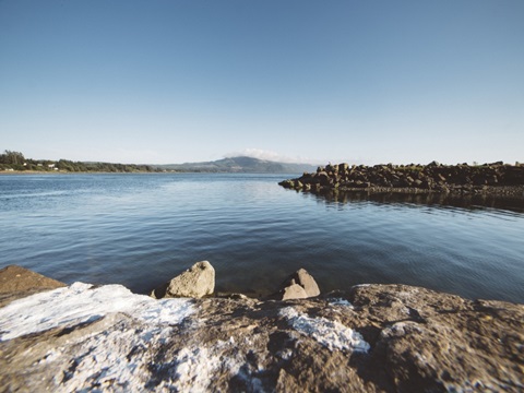 Pacific Northwest Oregon IX