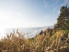 Pacific Northwest Oregon VIII