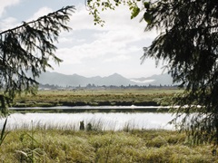 Pacific Northwest Oregon X