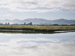 Pacific Northwest Oregon XI