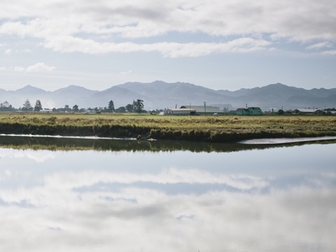 Pacific Northwest Oregon XI