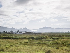 Pacific Northwest Oregon XII