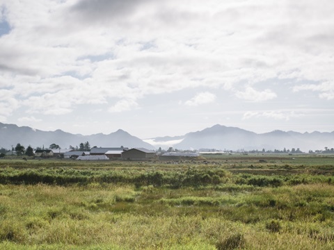 Pacific Northwest Oregon XII