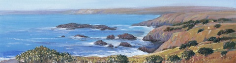 Panoramic Ocean View I