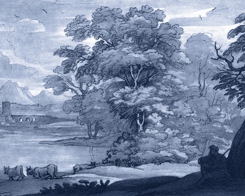 Pastoral Toile II
