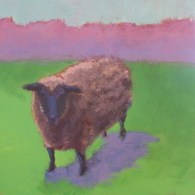 Pasture Sheep