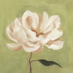 Peony on Olive II