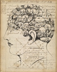 Phrenology Bookpage