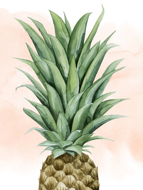 Pineapple on Coral II